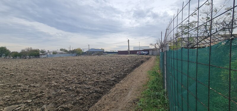 Baldovinesti, Braila