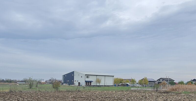 Baldovinesti, Braila